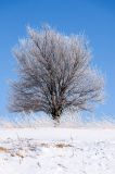 20170129-AJS_4050.jpg